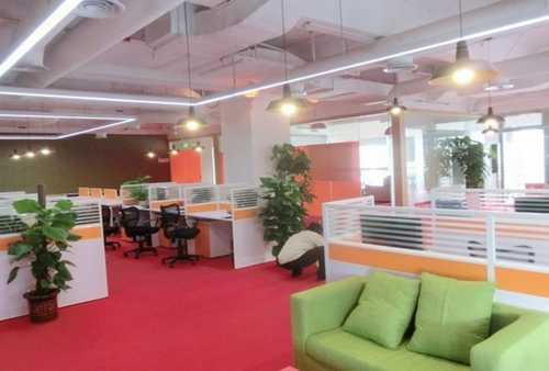 高產(chǎn)胡蘿卜加工